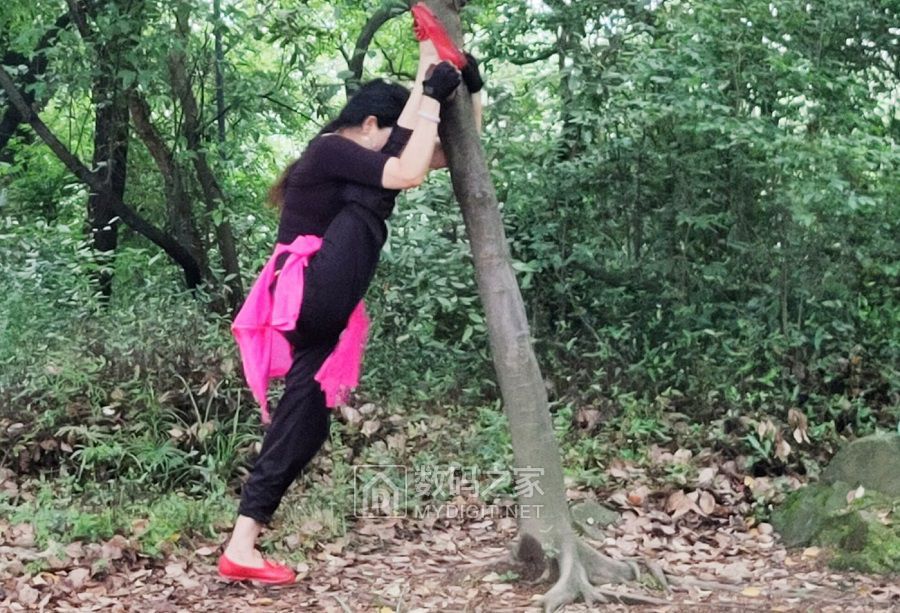 日的清晨总有着别样的美丽 (2).jpg