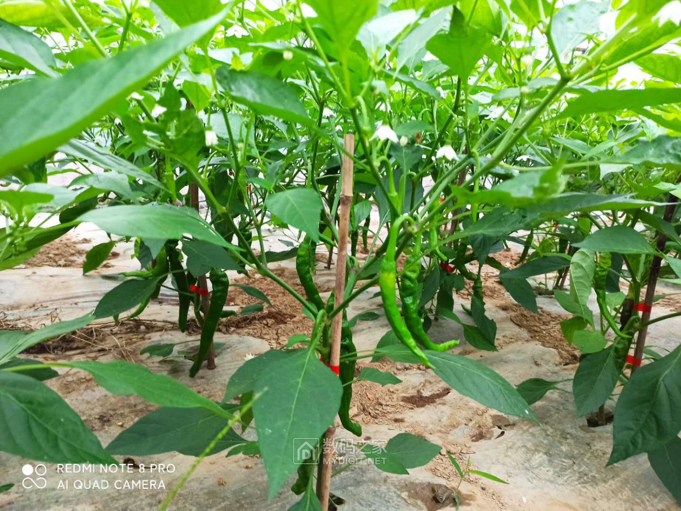 微信图片_20201020201451.jpg