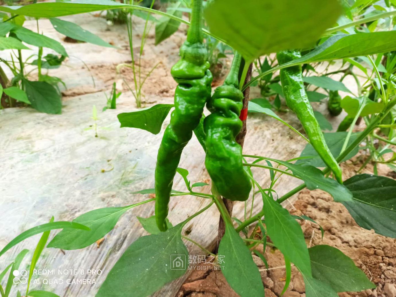 微信图片_20201020201503.jpg
