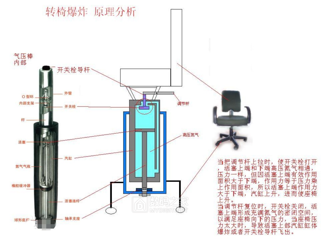 离菊花被爆不远了