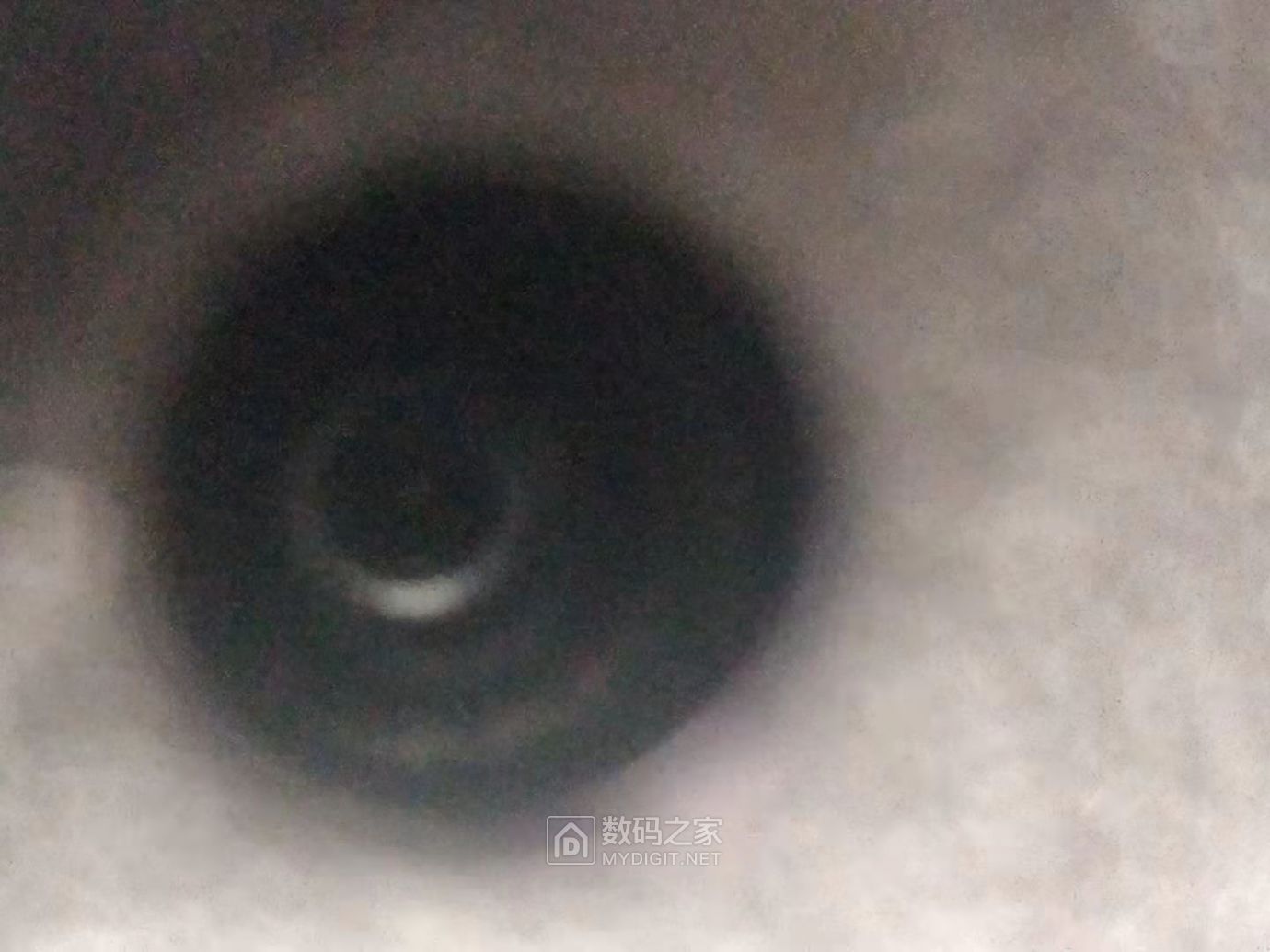 微信图片_20210331150804.jpg