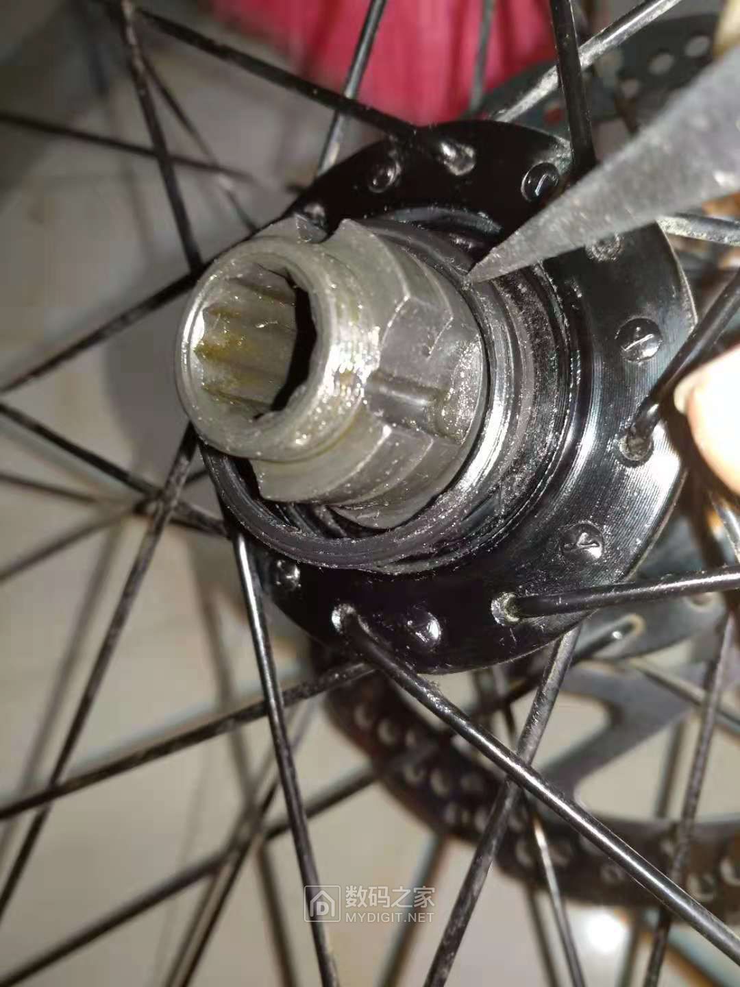 自行车后轮轴承拆解图片