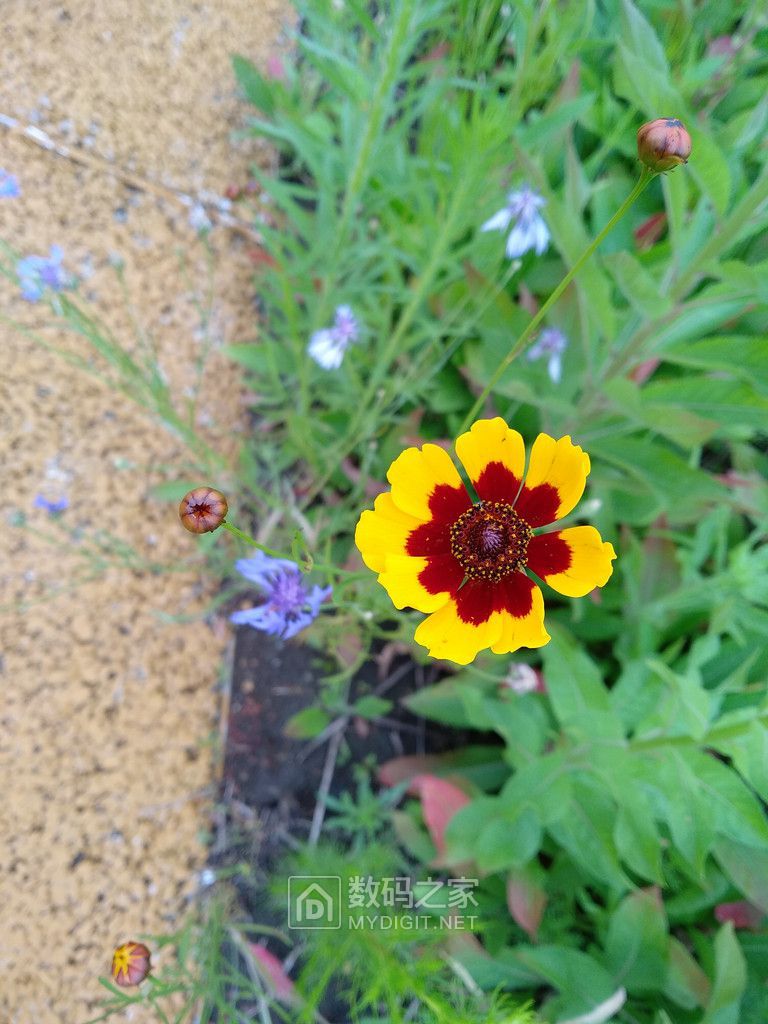 IMG_20210704_131629.jpg