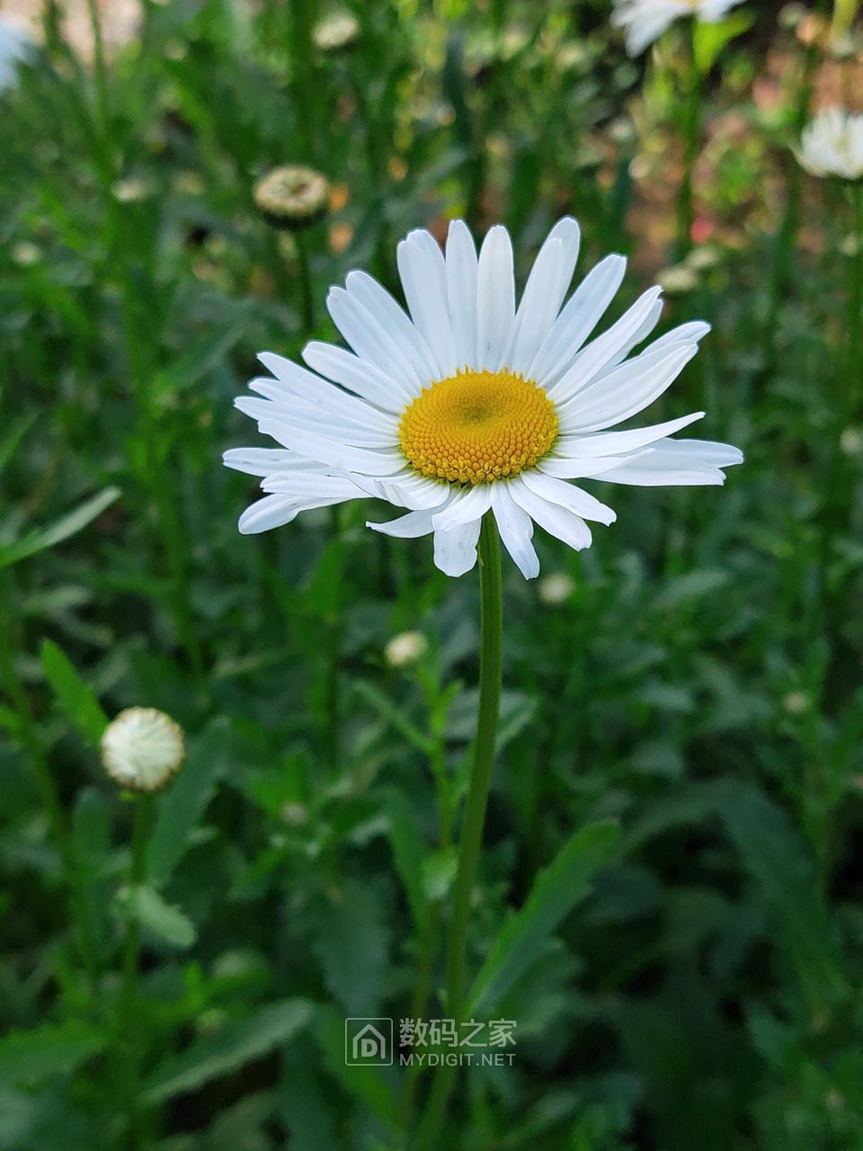 P10501-175746.jpg