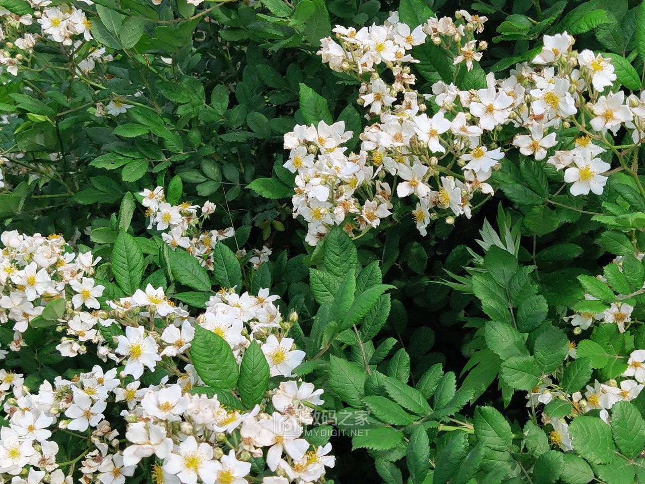 P10502-105532.jpg