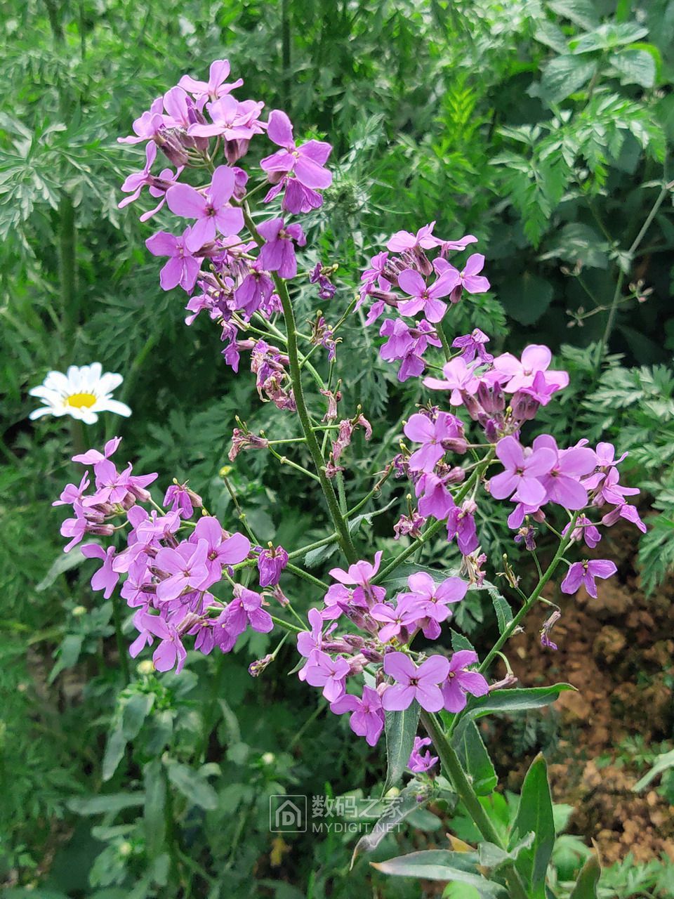 P10502-105715.jpg