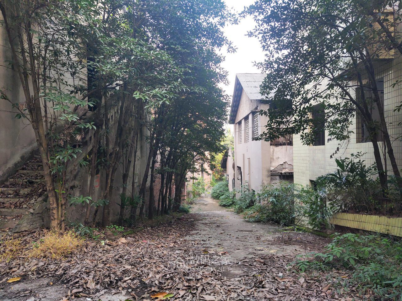 P11205-154553.jpg