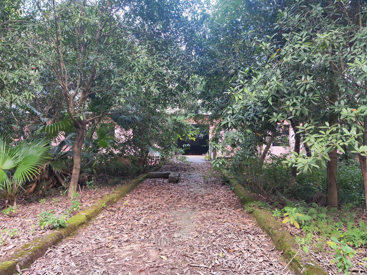 P11205-154840.jpg