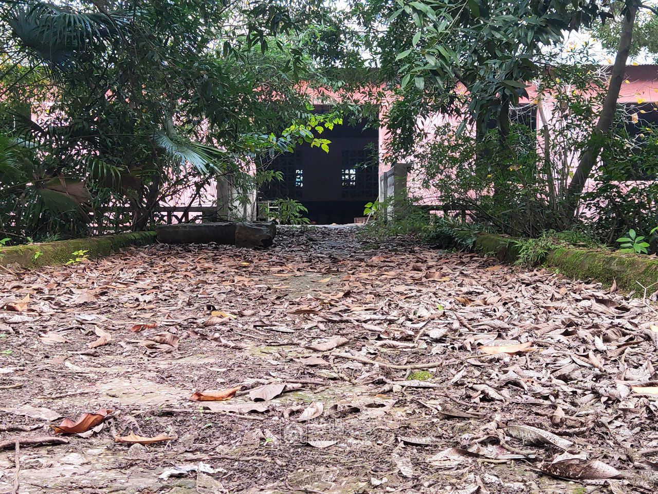 P11205-154852.jpg