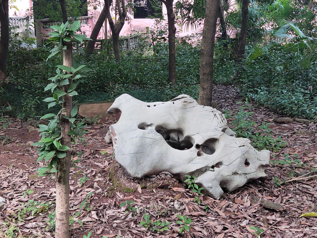 P11205-154905.jpg