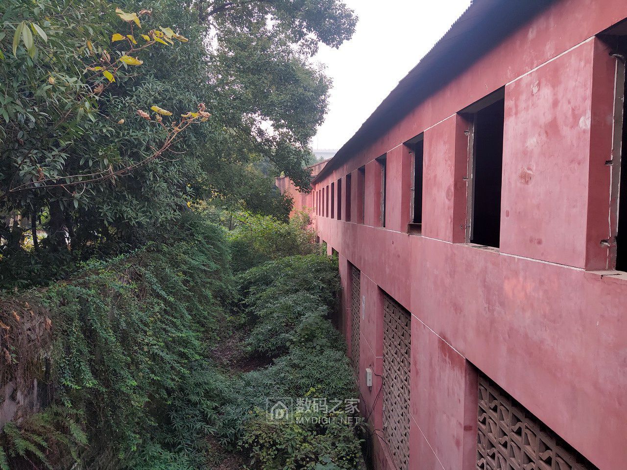 P11205-154934.jpg