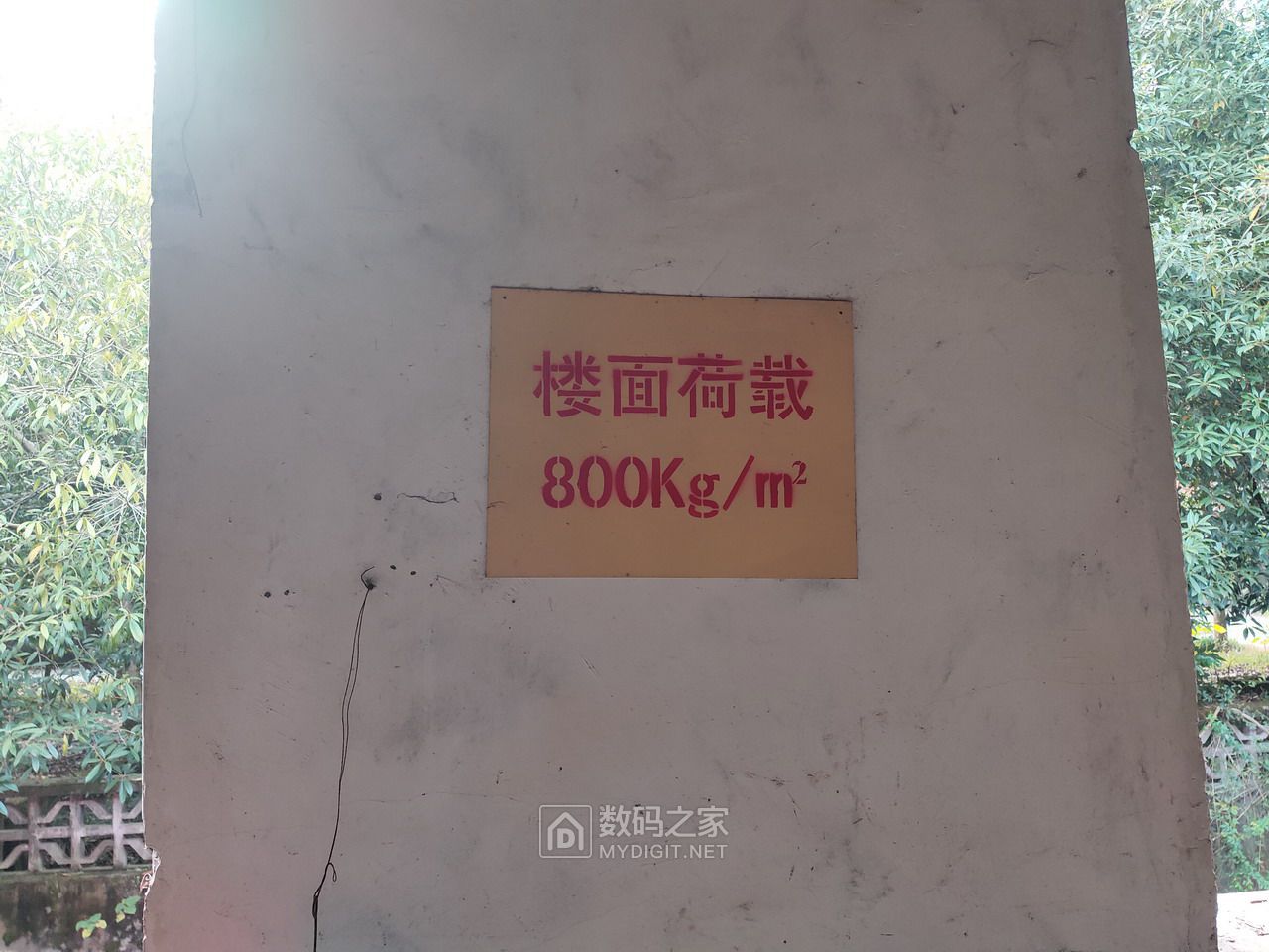 P11205-155032.jpg