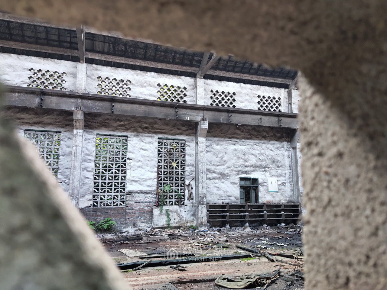 P11205-155202.jpg