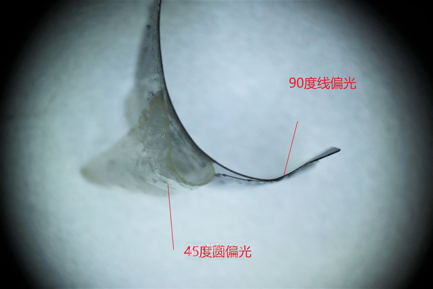 10g.JPG