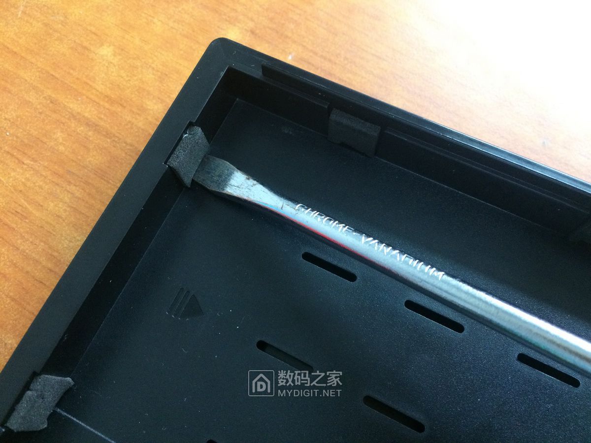 IMG_1745_调整大小.JPG