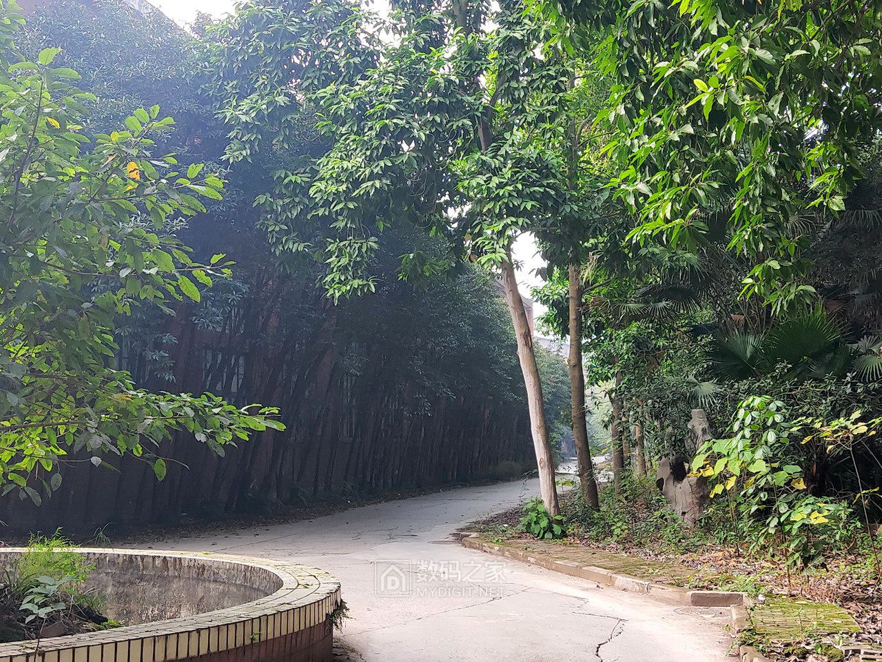 P11205-154746.jpg