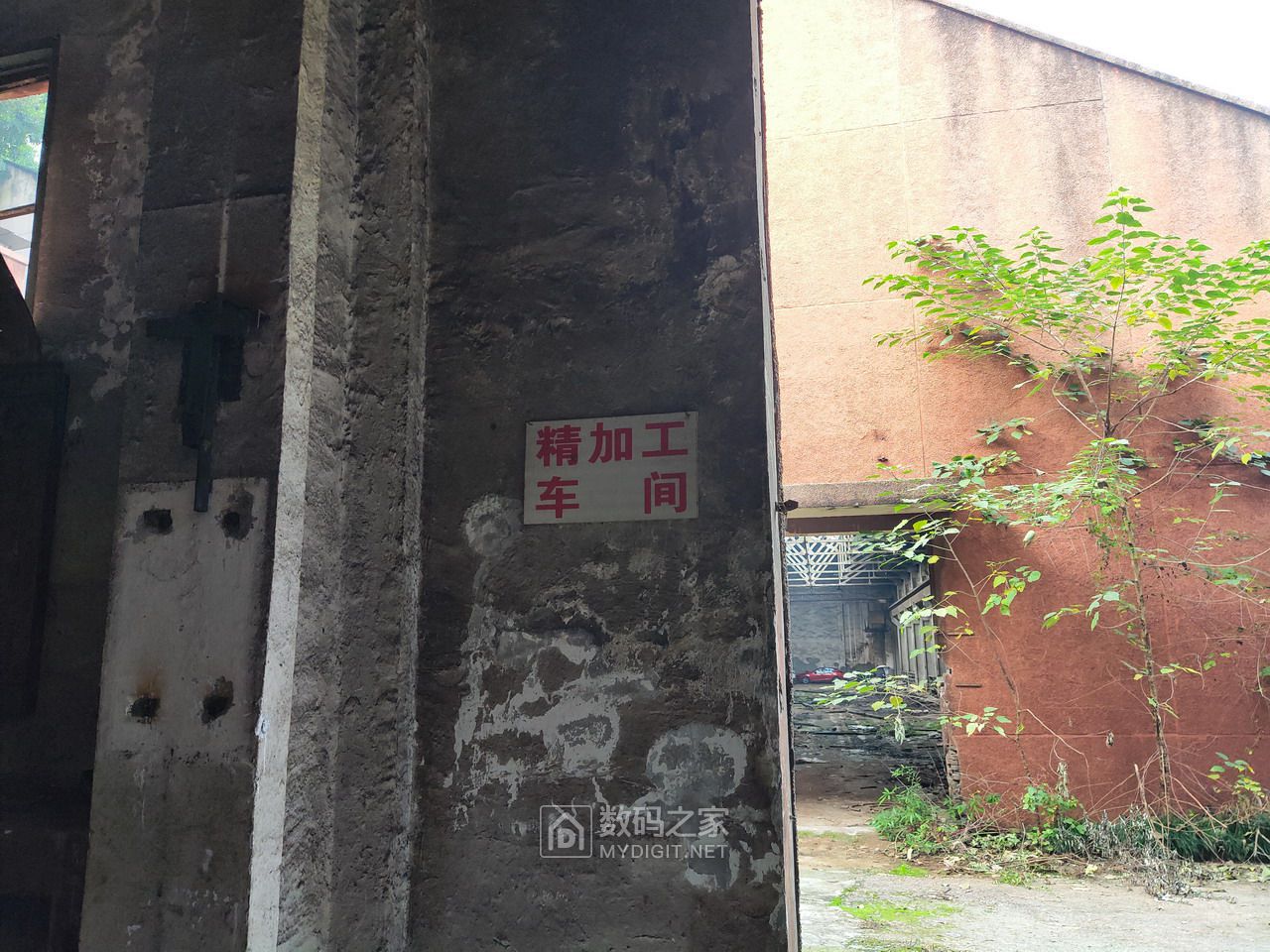 P11205-161100.jpg