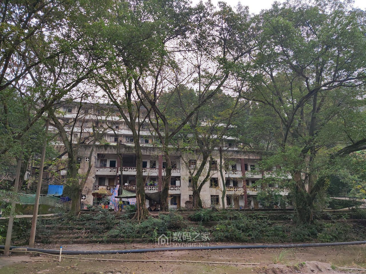 P20116-153241.jpg