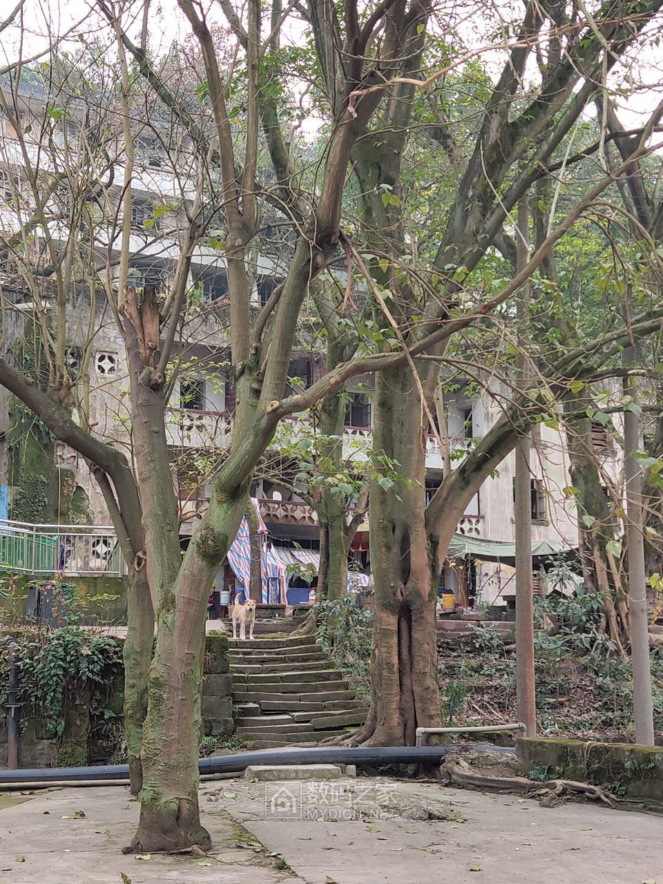 P20116-153314.jpg