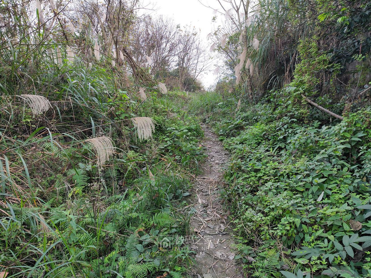 P20116-164216.jpg
