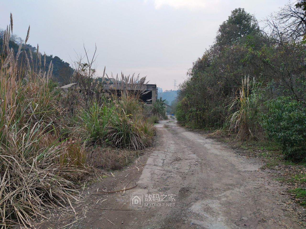 P20116-164801.jpg