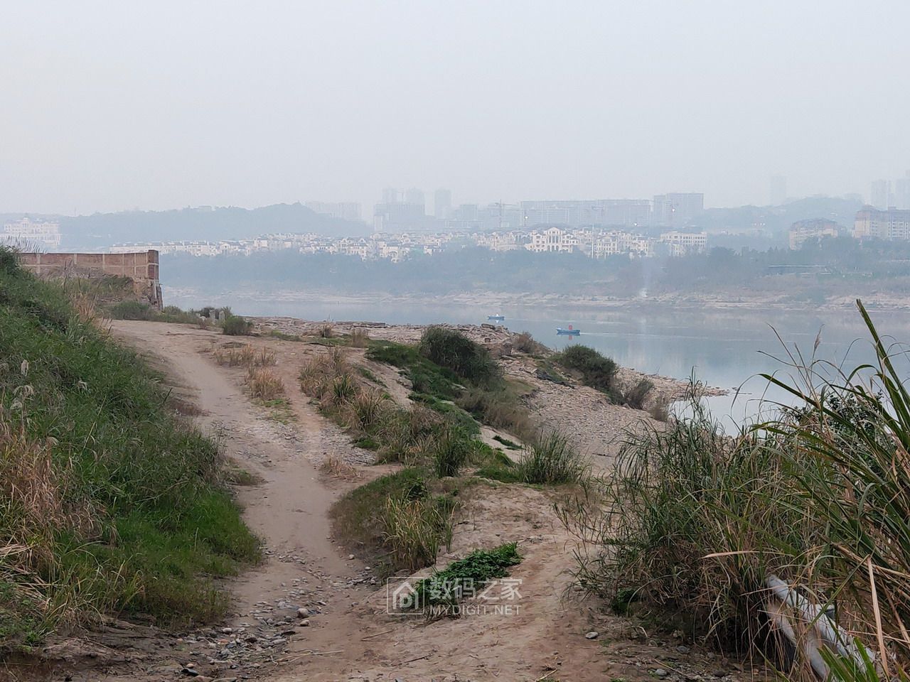 P20116-175524.jpg