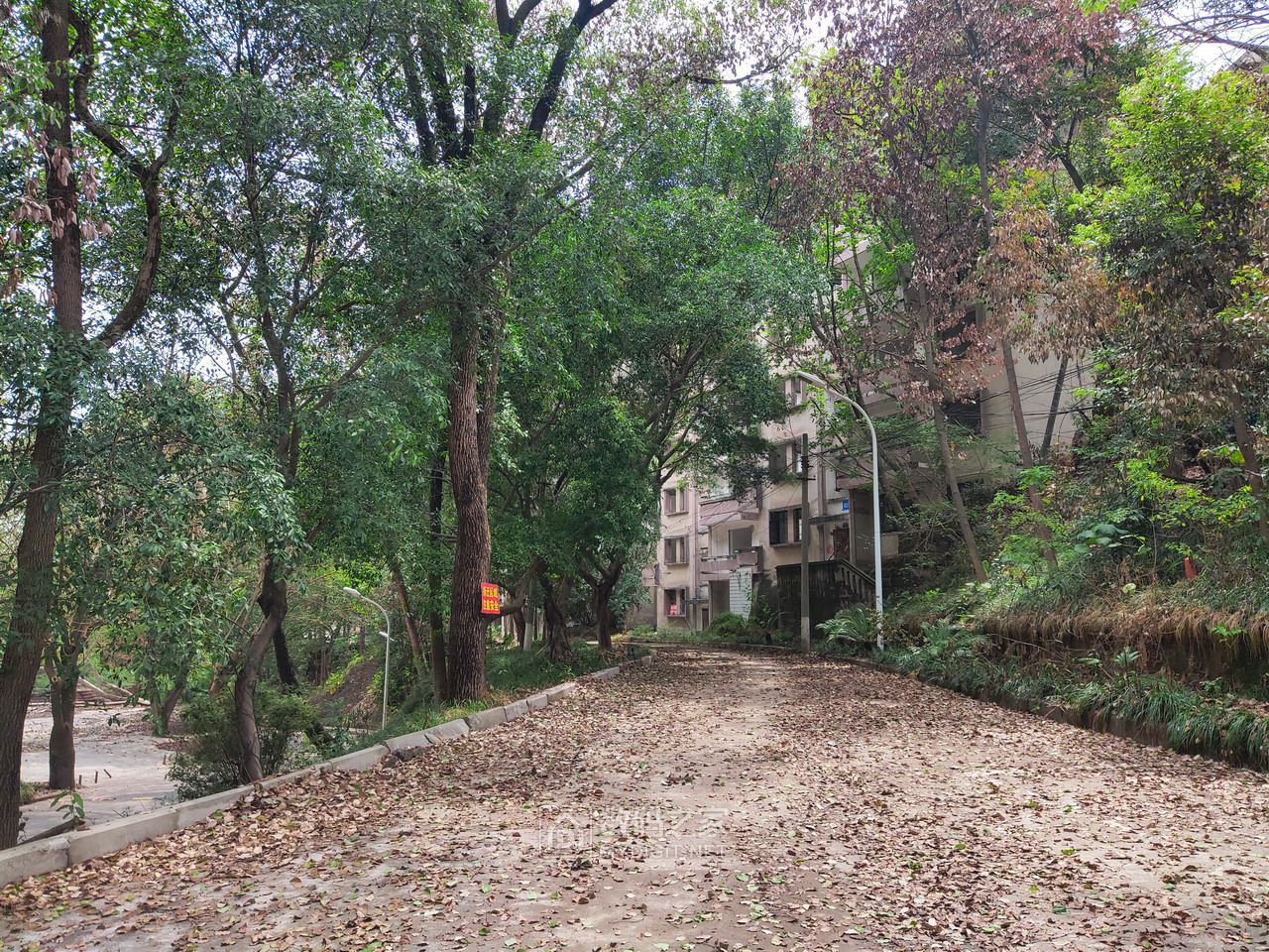 P20904-124730.jpg