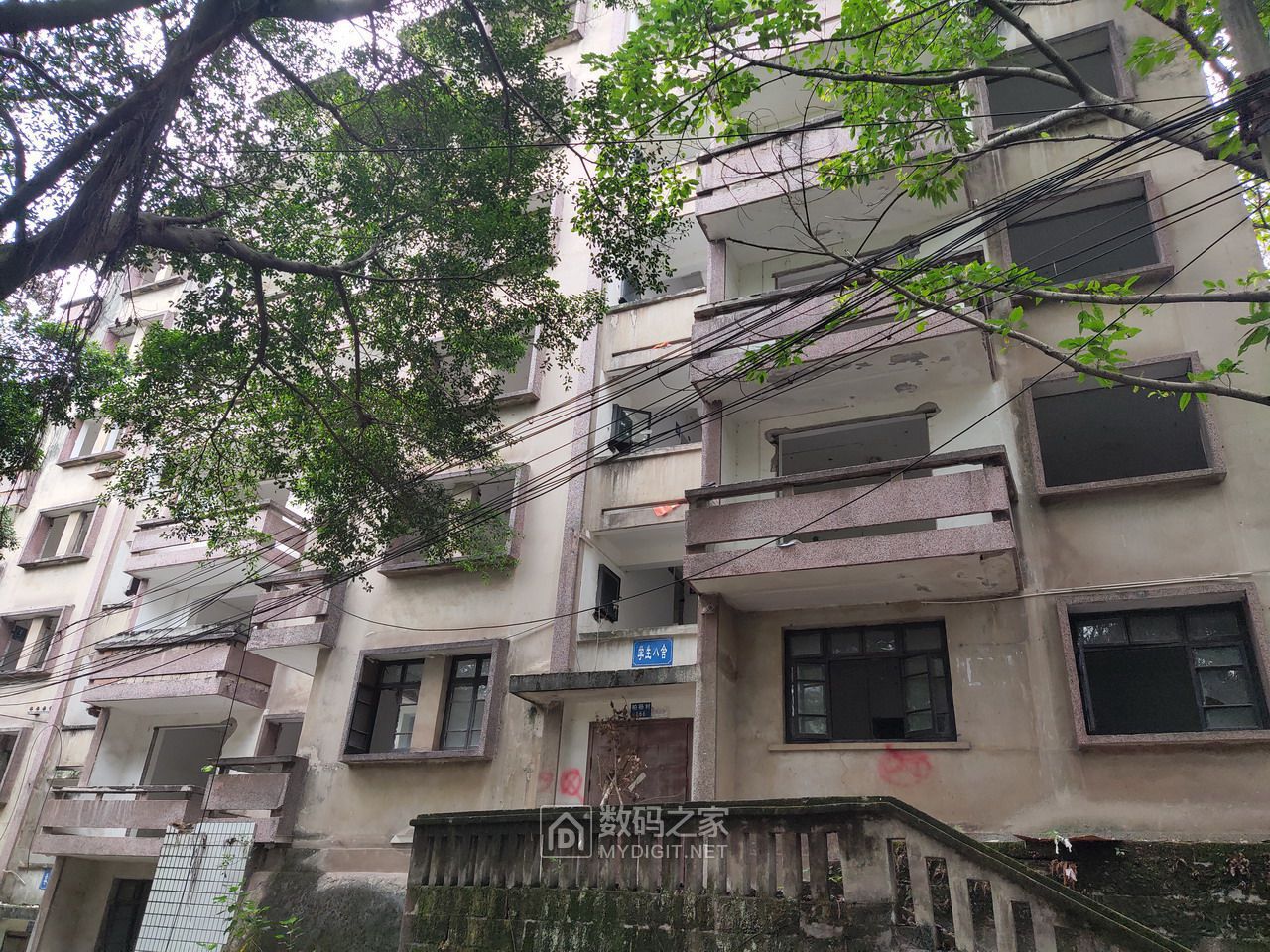 P20904-124831.jpg