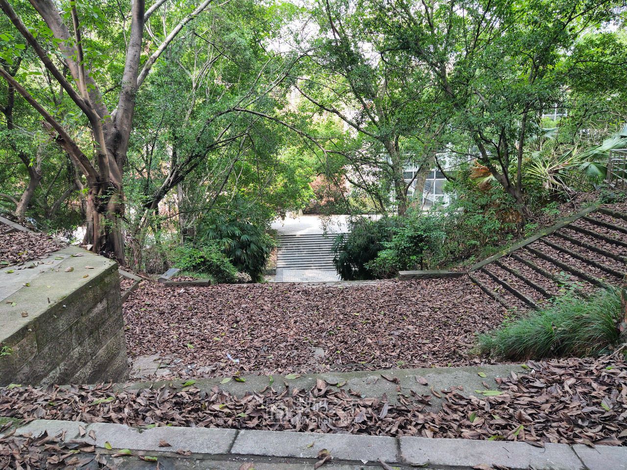 P20904-125250.jpg