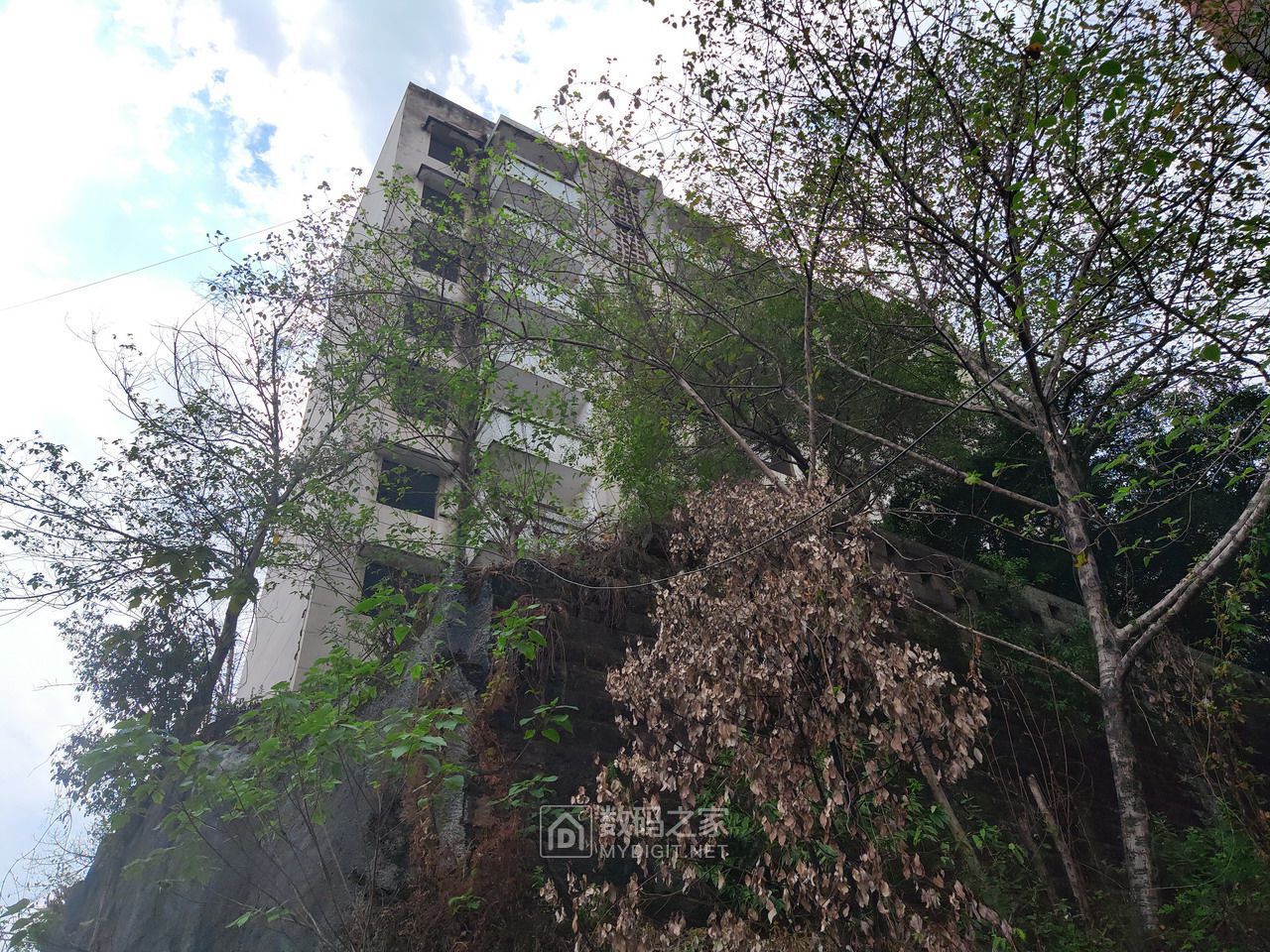 P20904-130448.jpg