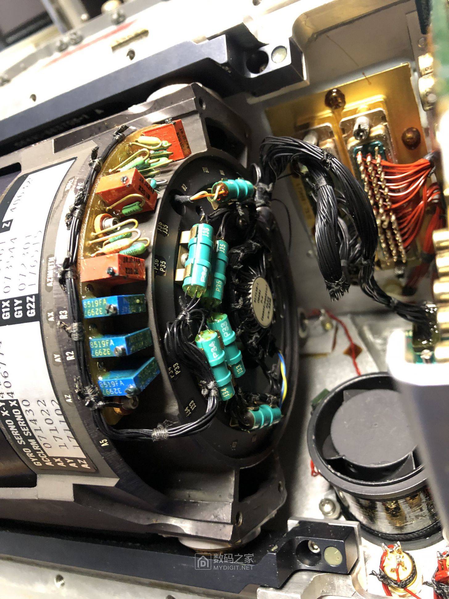 IMG_3919-1.jpg