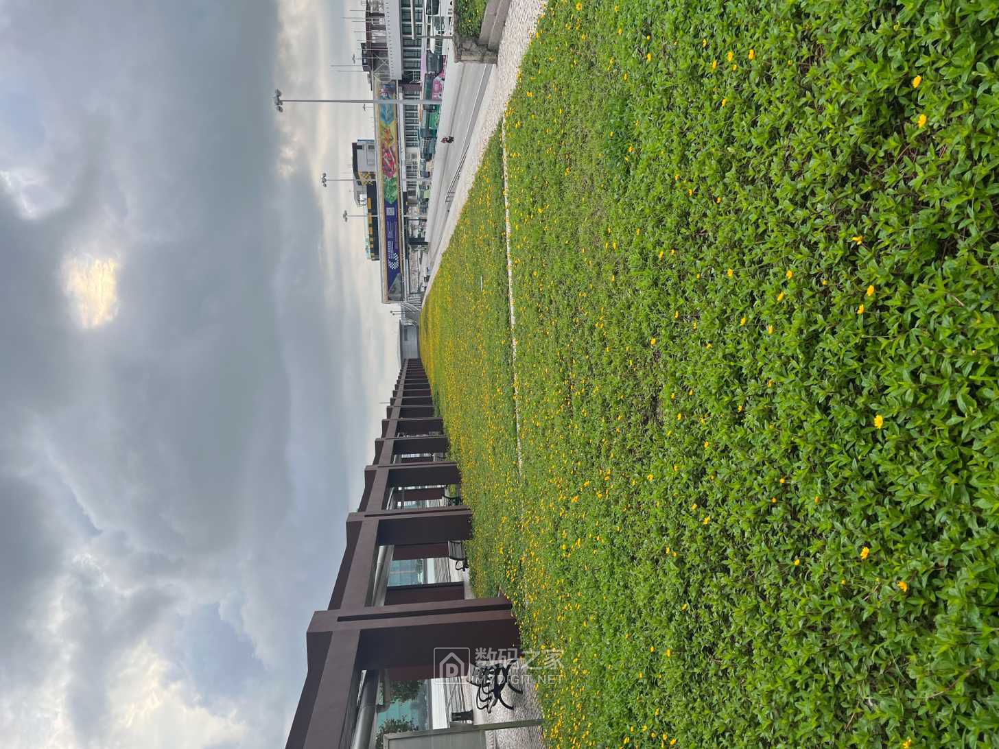 IMG_6481.jpeg
