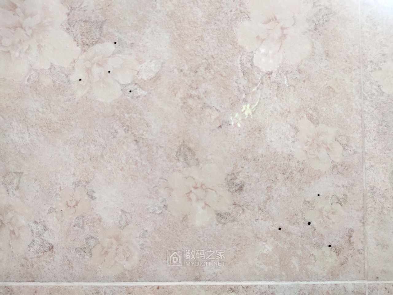 P30416-141620.jpg