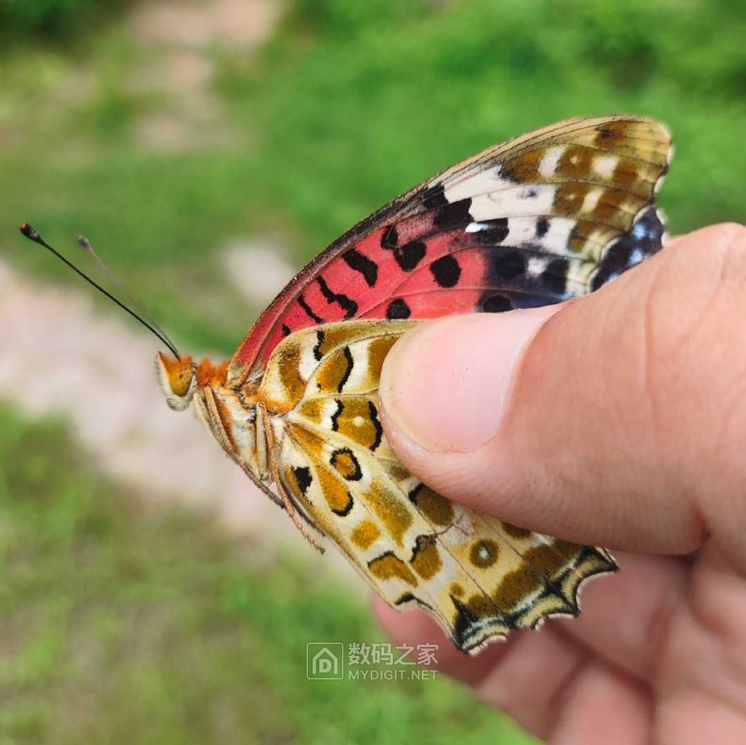 Screenshot_2023-07-17-10-40-35-931_com.miui.gallery-edit.jpg