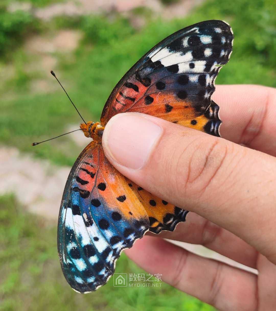 Screenshot_2023-07-17-10-40-49-249_com.miui.gallery-edit.jpg