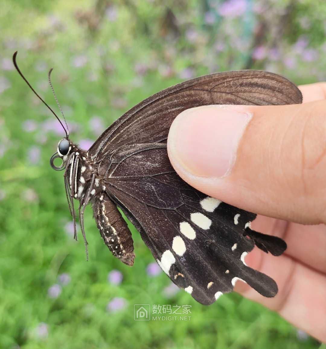 Screenshot_2023-07-17-10-41-25-802_com.miui.gallery-edit.jpg