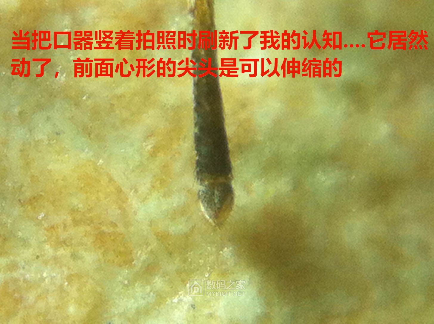 19.JPG