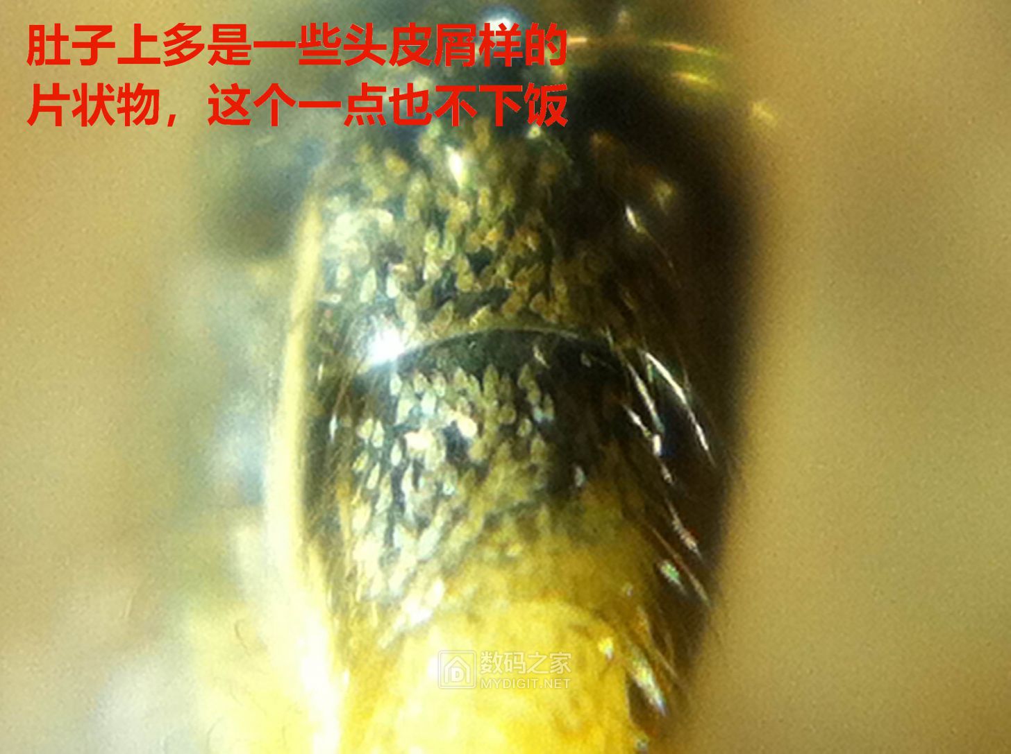 31.JPG