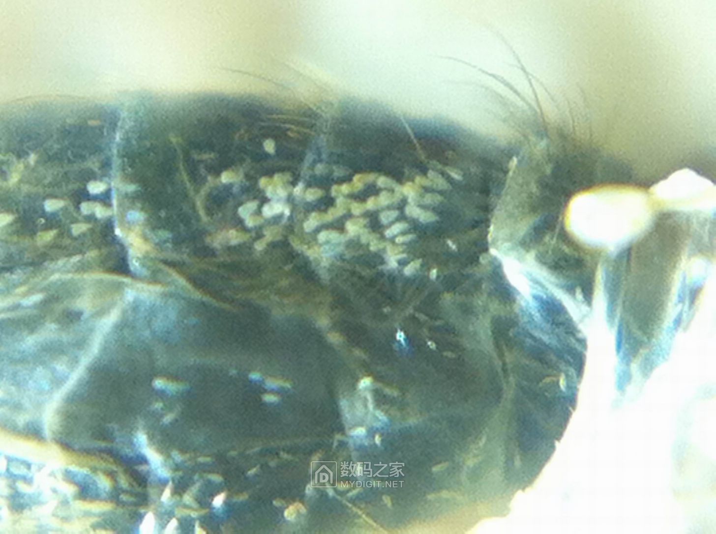 35.JPG