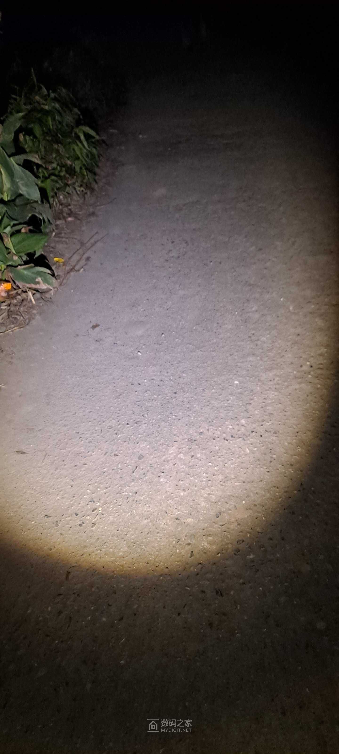 20231004_191637.jpg