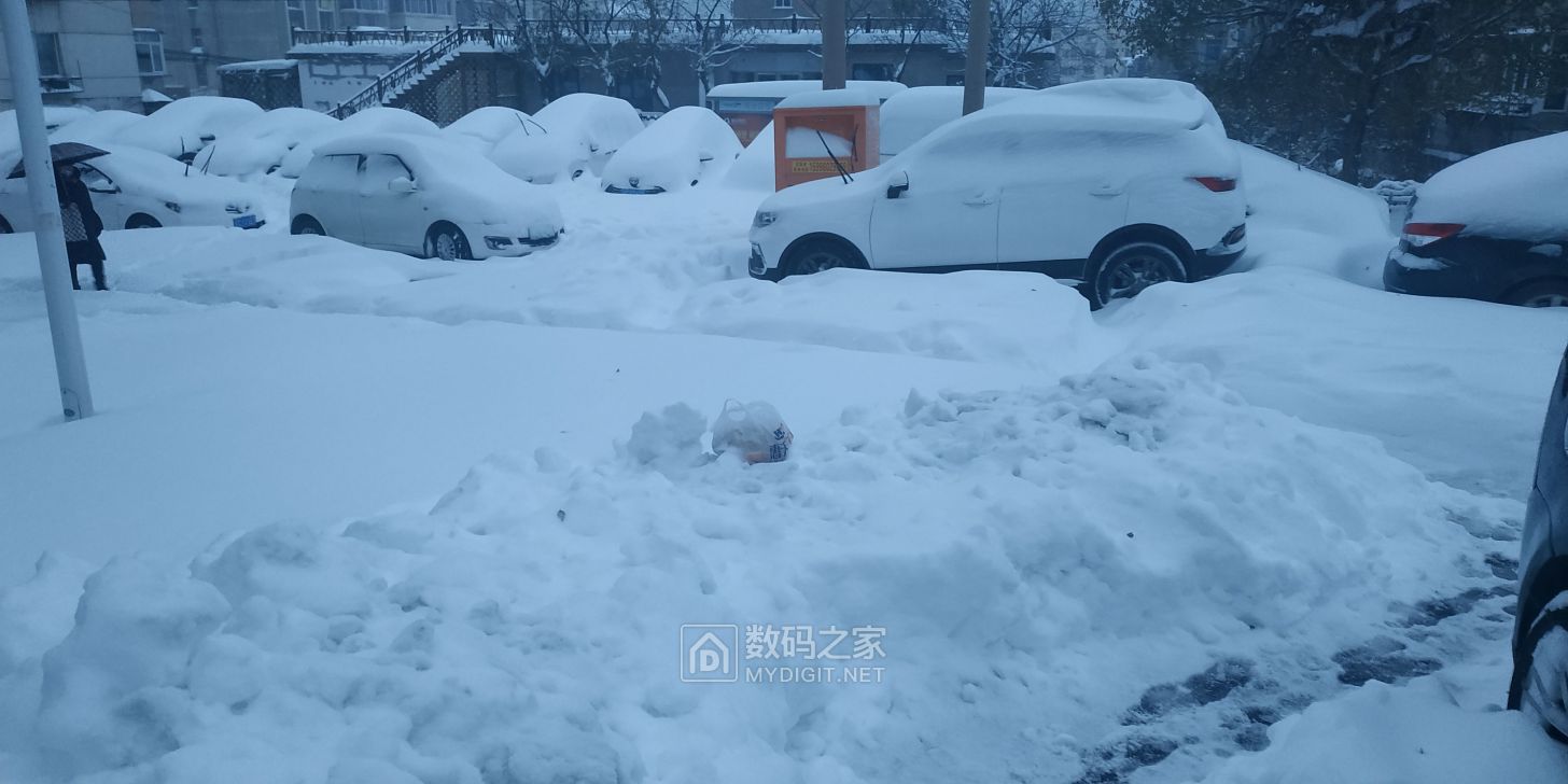 2023年最后一帖《2021年11月8日辽宁雪灾》 - 摄友沙龙 数码之家