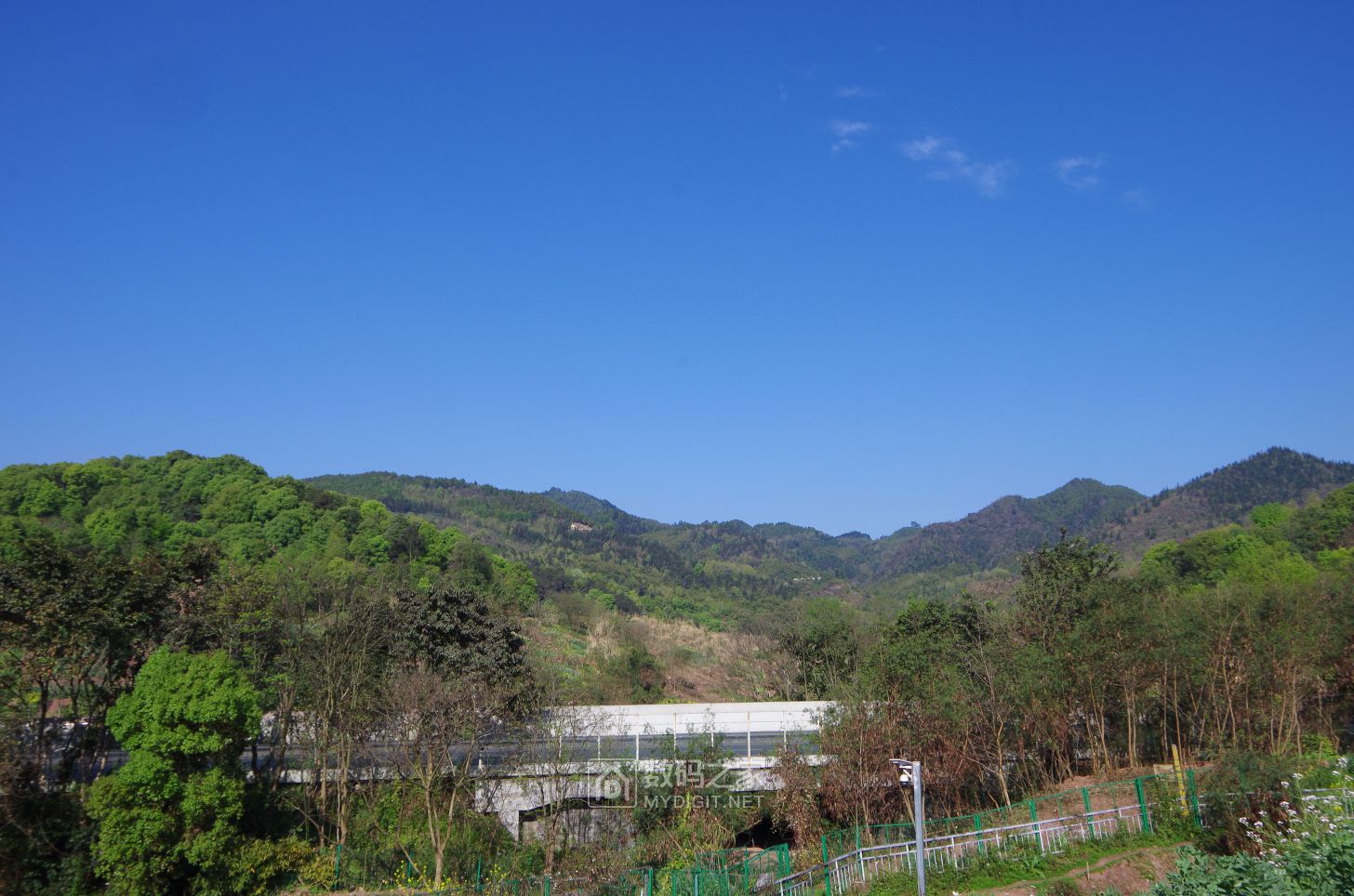 IMGP9959.JPG