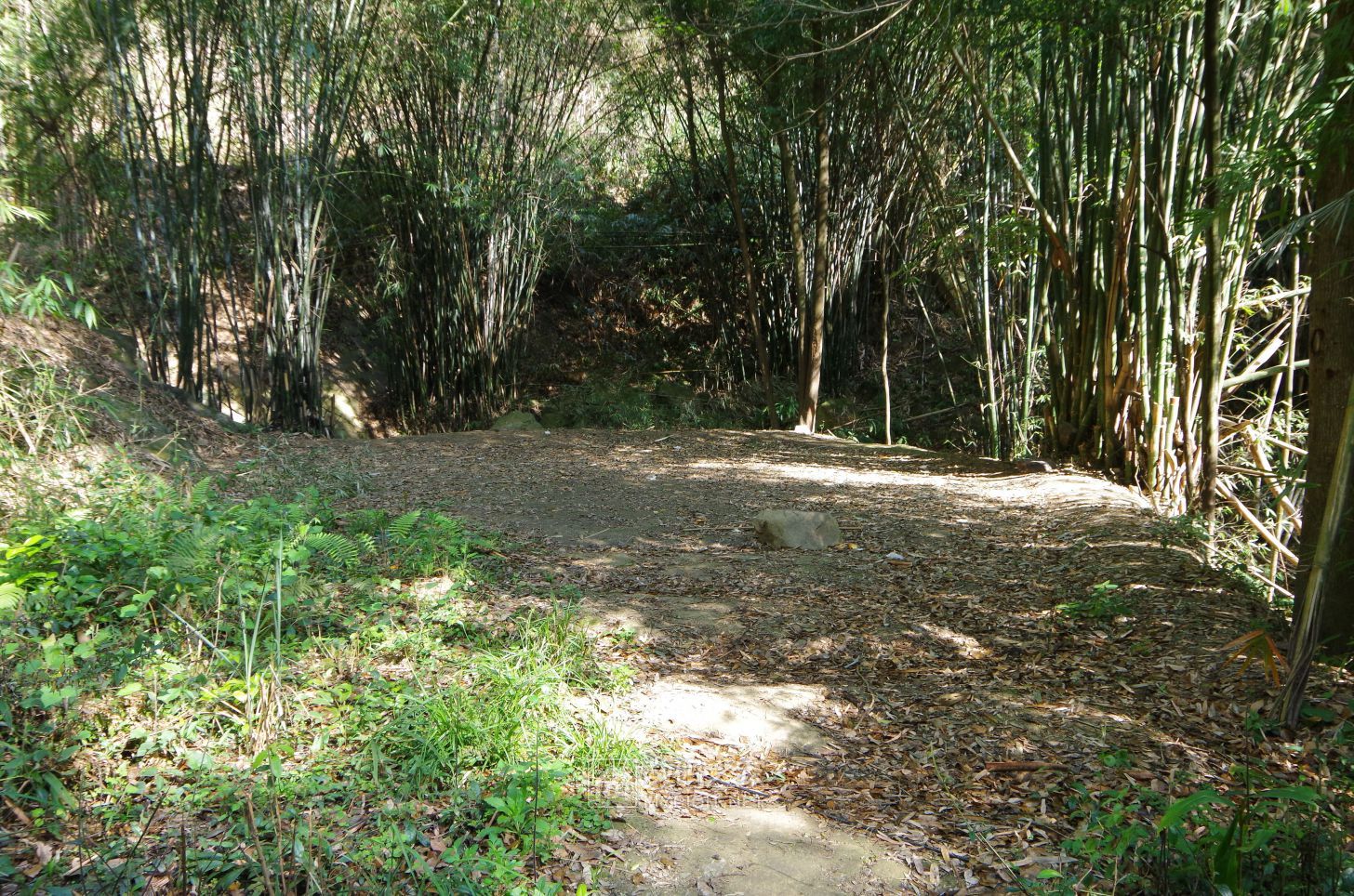 IMGP9988.JPG