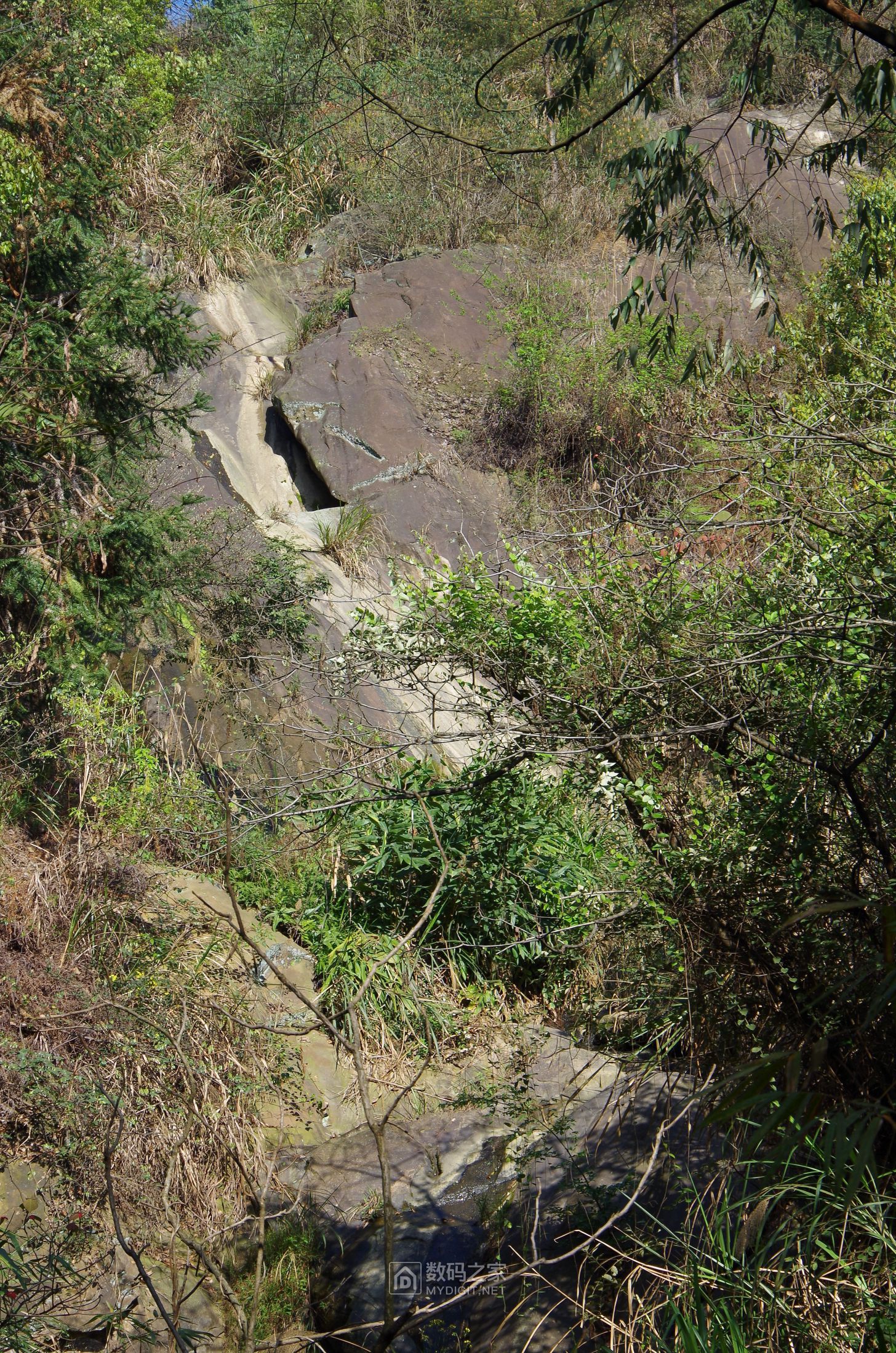 IMGP9990.JPG