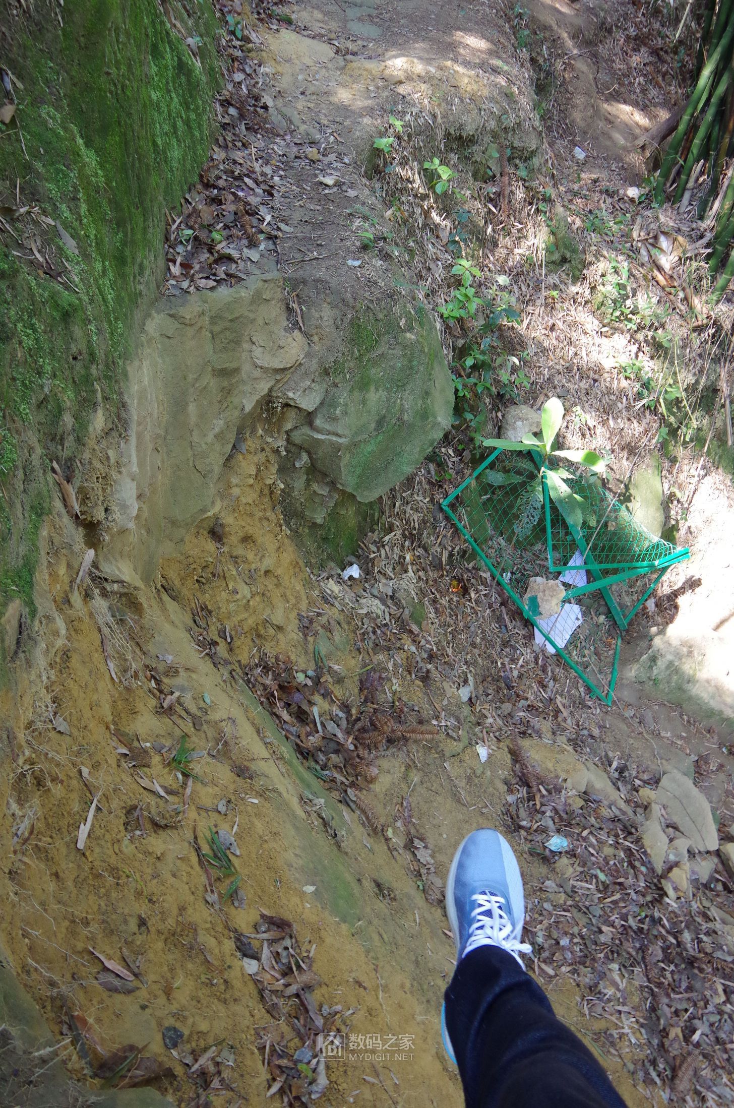 IMGP9994.JPG