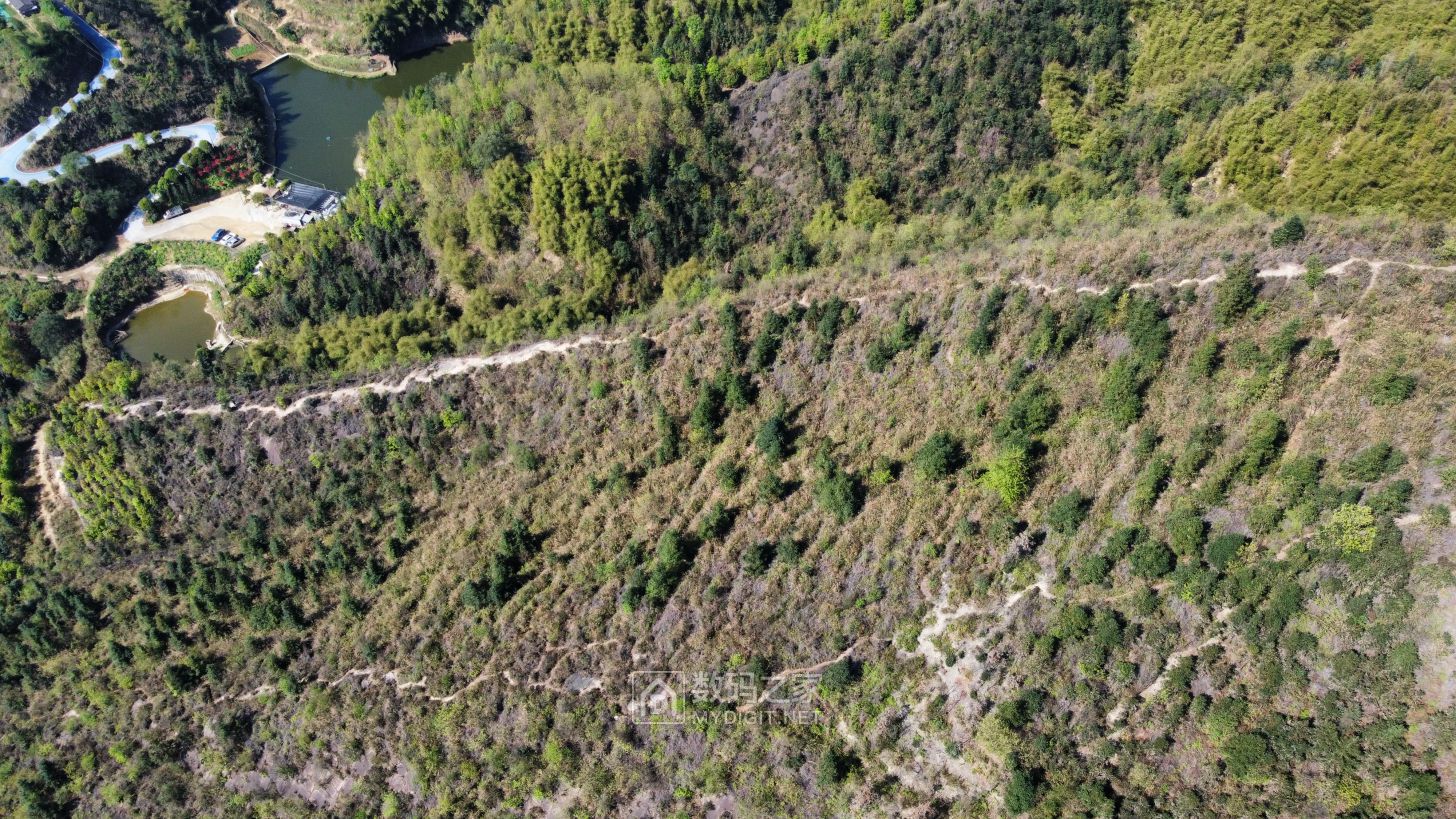 dji_fly_20240325_104428_435_1711334757876_photo_optimized.jpg