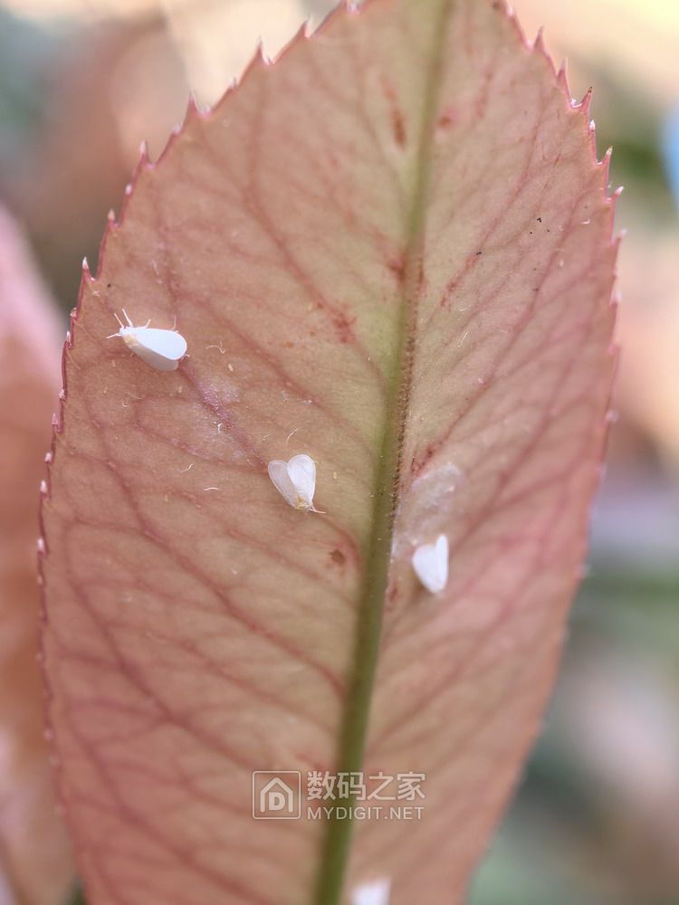 微信图片_00019.jpg