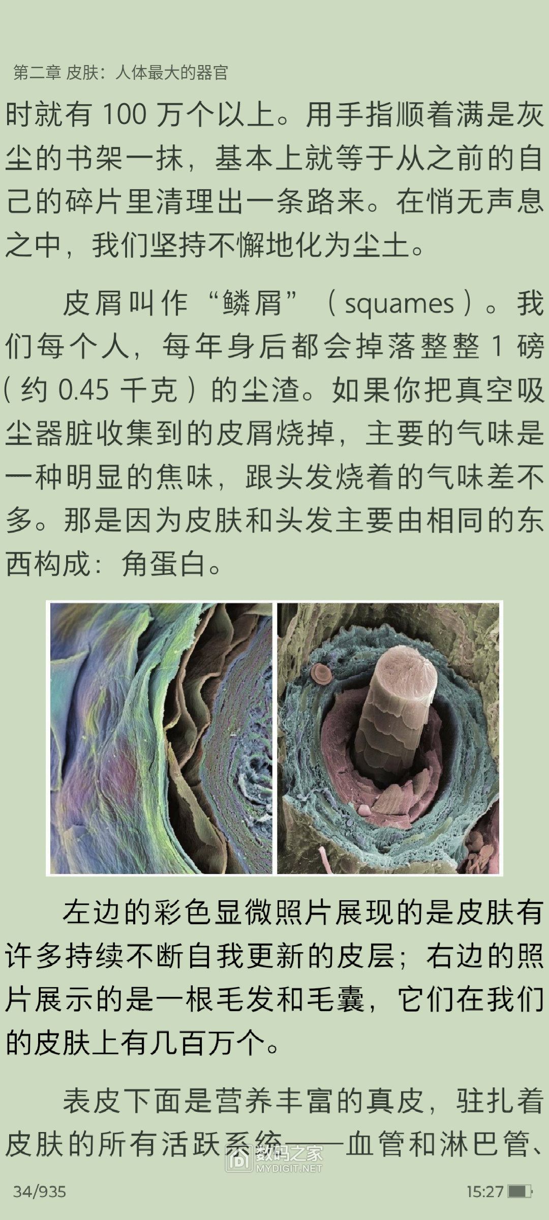 152734senb27ifkzq0xxix.jpg