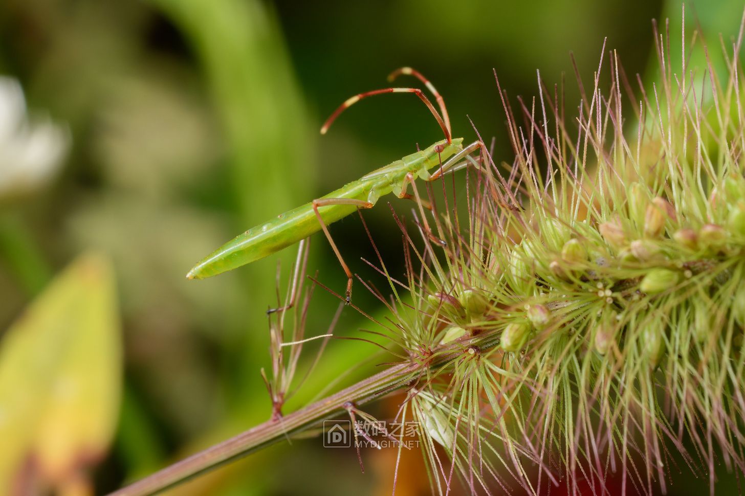 _DSC0224.jpg
