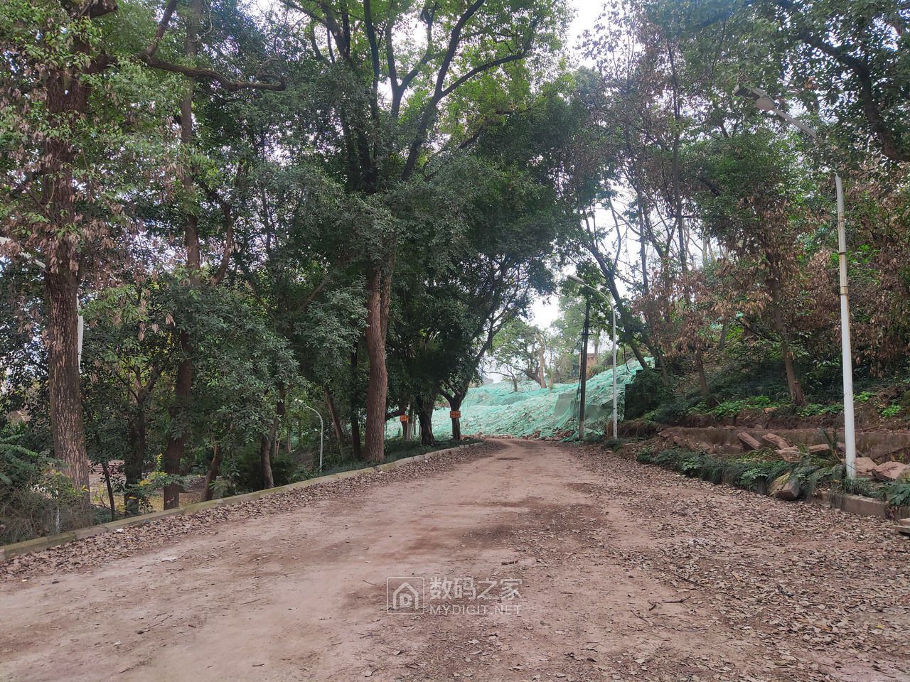 P30211-142555.jpg